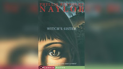 Sister Witches of Raven Falls Mystery Series Box Set, Books 1-4 cover